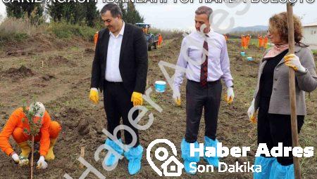 Dalaman Açık Cezaevi’nde Tarımsal Hamle: Sakız Ağacı Fidanları Toprakla Buluştu