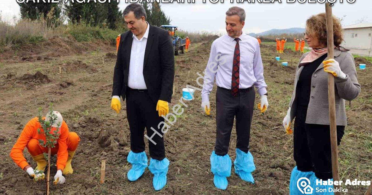 "Dalaman Açık Cezaevi'nde Tarımsal Hamle: Sakız Ağacı Fidanları Toprakla Buluştu" başlıklı haber içi