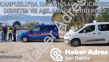 Karpuzlu’da Hayvan Sağlığı İçin Sıkı Denetim ve Aşılama Seferberliği