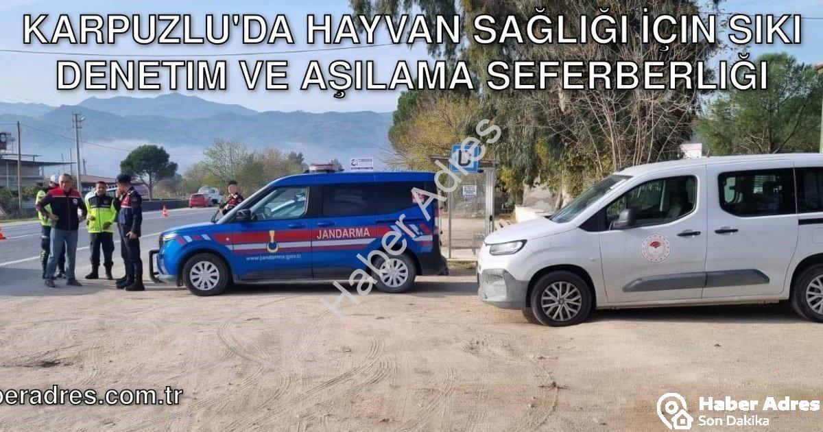 "Karpuzlu'da Hayvan Sağlığı İçin Sıkı Denetim ve Aşılama Seferberliği" başlıklı haber için fotoreali