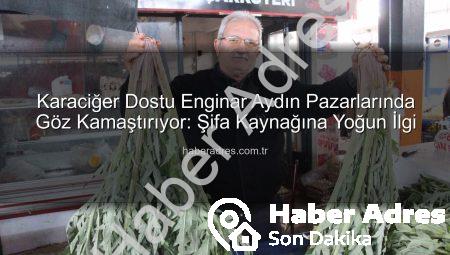Karaciğer Dostu Enginar Aydın Pazarlarında Göz Kamaştırıyor: Şifa Kaynağına Yoğun İlgi