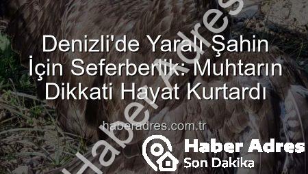 Denizli’de Yaralı Şahin İçin Seferberlik: Muhtarın Dikkati Hayat Kurtardı