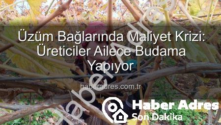 Üzüm Bağlarında Maliyet Krizi: Üreticiler Ailece Budama Yapıyor