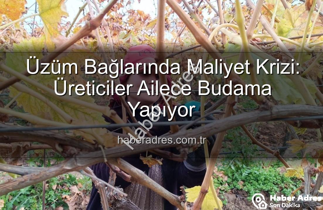 üzüm budama maliyeti - Üzüm Bağlarında Maliyet Krizi: Üreticiler Ailece Budama Yapıyor