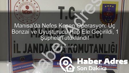 Manisa’da Uç Bonzai Operasyonu: 168 Doz Uyuşturucuya El Konuldu, Şüpheli Tutuklandı