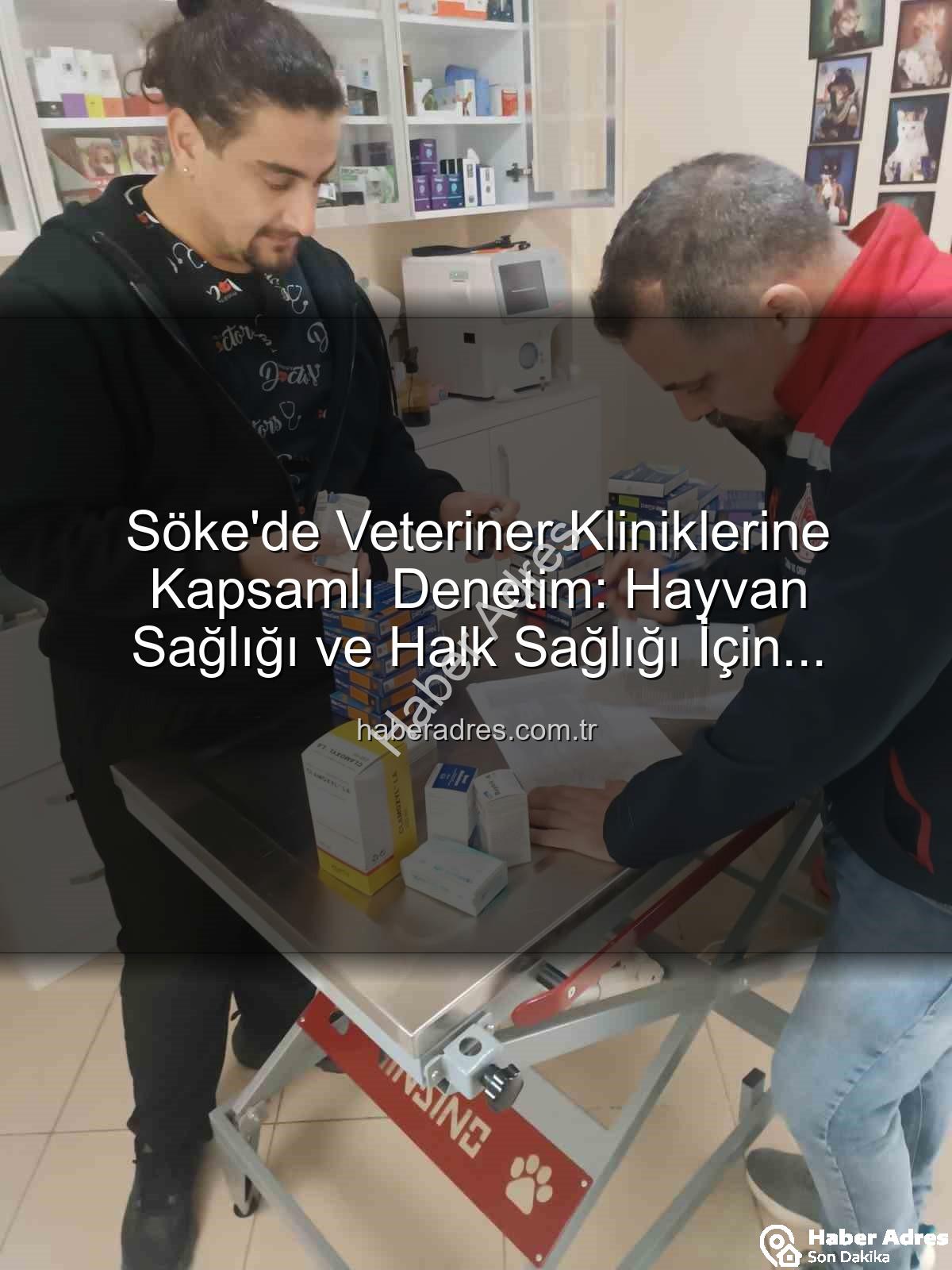veteriner klinik denetimi - Söke'de Veteriner Kliniklerine Kapsamlı Denetim: Hayvan Sağlığı ve Halk Sağlığı İçin Önemli Adımlar