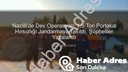 Nazilli’de Dev Operasyon: 1,5 Ton Portakal Hırsızlığı Jandarmaya Takıldı, Şüpheliler Yakalandı