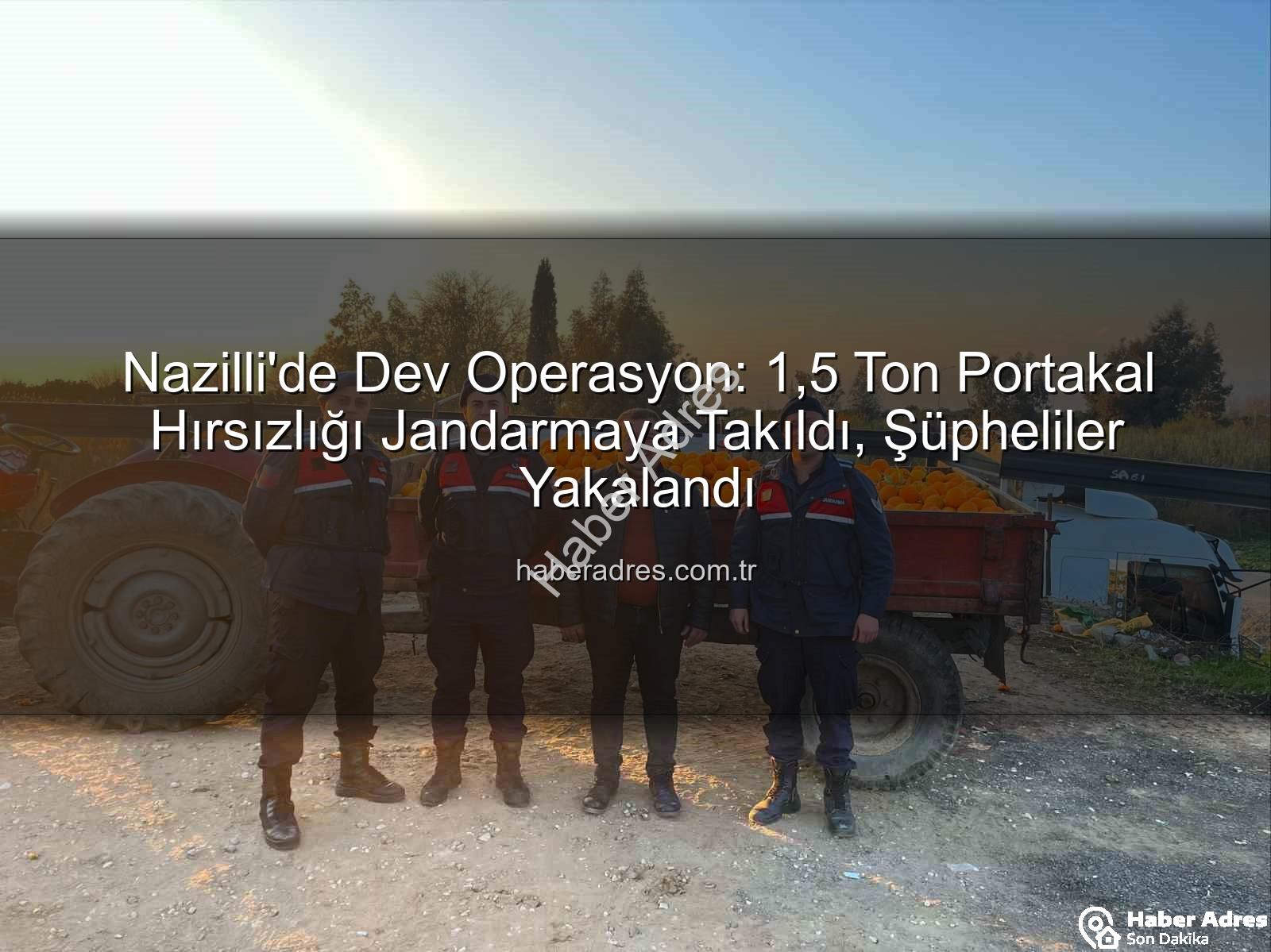 portakal hırsızlığı - Nazilli'de Dev Operasyon: 1,5 Ton Portakal Hırsızlığı Jandarmaya Takıldı, Şüpheliler Yakalandı