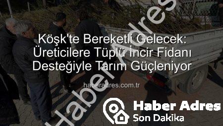 Köşk’te Bereketli Gelecek: Üreticilere Tüplü İncir Fidanı Desteğiyle Tarım Güçleniyor