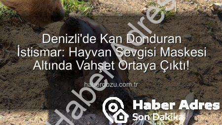 Denizli’de Tüyler Ürperten İstismar: Köpekler Açlıktan Birbirini Yedi, Bağışlar Kayıp!