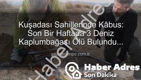 Kuşadası Sahillerinde Şok Eden Kayıp: Bir Haftada 3 Deniz Kaplumbağası Ölü Bulundu