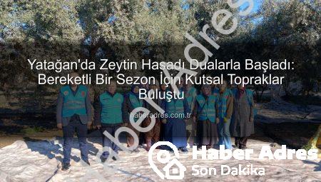 Yatağan’da Zeytin Hasadı Dualarla Başladı: Bereketli Bir Sezon İçin Kutsal Topraklar Buluştu
