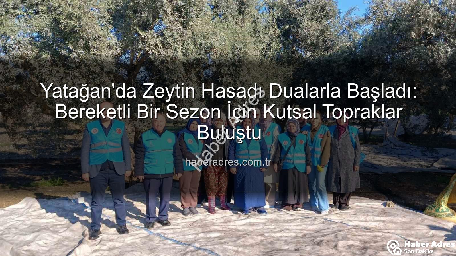 Yatağan zeytin hasadı - Yatağan'da Zeytin Hasadı Dualarla Başladı: Bereketli Bir Sezon İçin Kutsal Topraklar Buluştu