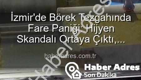İzmir’de Börek Tezgahında Fare Paniği: Hijyen Skandalı Ortaya Çıktı, İşletme Mühürlendi