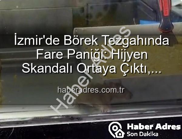 börek tezgahında fare - İzmir'de Börek Tezgahında Fare Paniği: Hijyen Skandalı Ortaya Çıktı, İşletme Mühürlendi