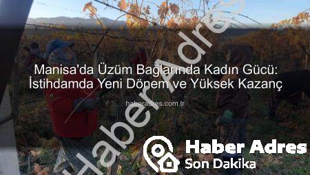 Manisa’da Üzüm Bağlarında Kadın Gücü: İstihdamda Yeni Dönem ve Yüksek Kazanç