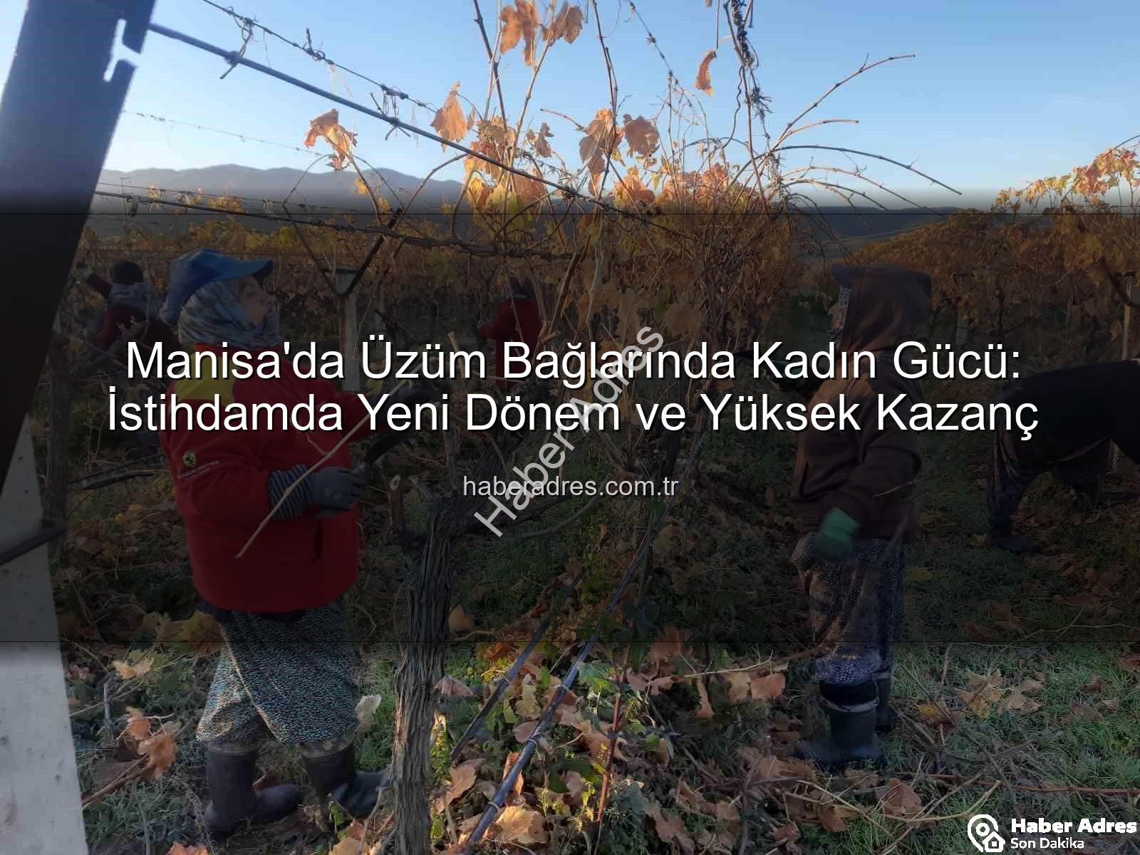 kadın istihdamı - Manisa'da Üzüm Bağlarında Kadın Gücü: İstihdamda Yeni Dönem ve Yüksek Kazanç