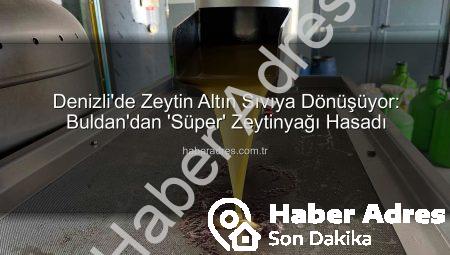 Denizli’de Zeytin Altın Sıvıya Dönüşüyor: Buldan’dan ‘Süper’ Zeytinyağı Hasadı