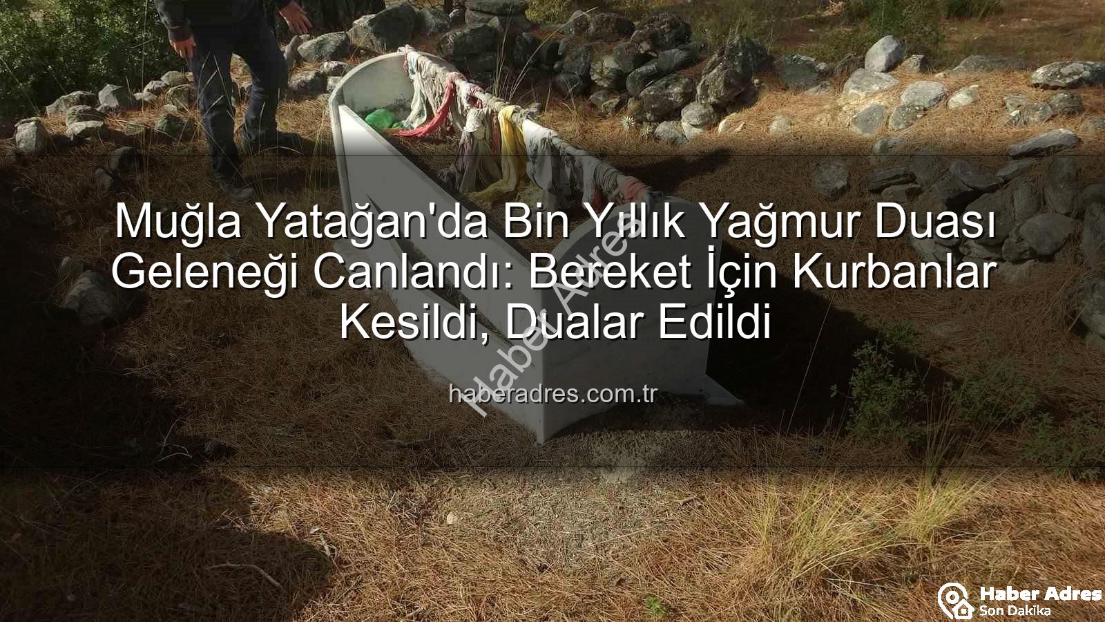 Muğla Yatağan'da Bin Yıllık Yağmur Duası Geleneği Canlandı: Bereket İçin Kurbanlar Kesildi, Dualar Edildi