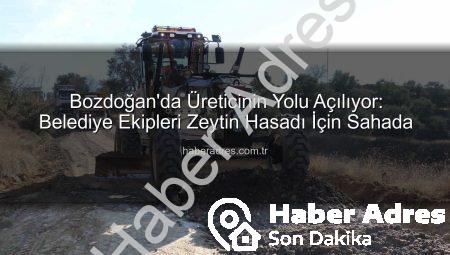 Bozdoğan’da Üreticinin Yolu Açılıyor: Belediye Ekipleri Zeytin Hasadı İçin Sahada