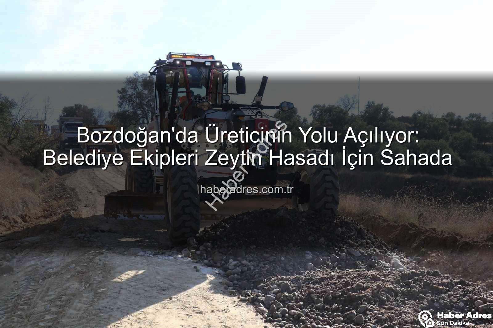 Bozdoğan yol çalışmaları - Bozdoğan'da Üreticinin Yolu Açılıyor: Belediye Ekipleri Zeytin Hasadı İçin Sahada