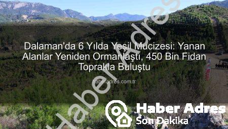 Dalaman’da 6 Yılda Yeşil Mucizesi: Yanan Alanlar Yeniden Ormanlaştı, 450 Bin Fidan Toprakla Buluştu