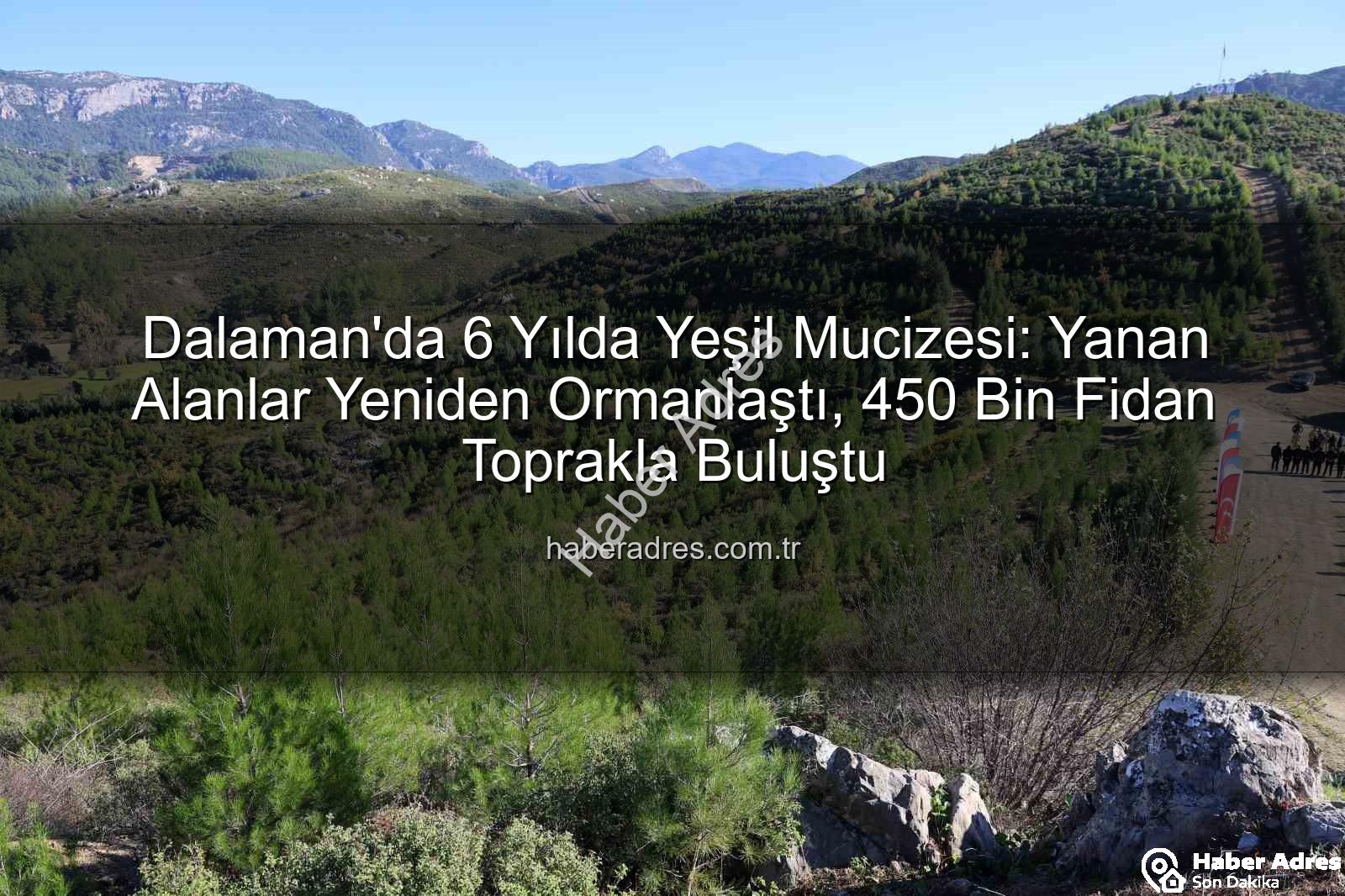 Dalaman'da 6 Yılda Yeşil Mucizesi: Yanan Alanlar Yeniden Ormanlaştı, 450 Bin Fidan Toprakla Buluştu