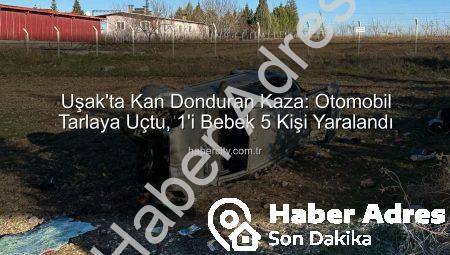 Uşak’ta Trafik Faciası: Otomobil Tarlaya Uçtu, 1 Bebekli Aileden 5 Yaralı